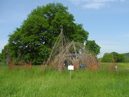 Spielen in der Natur