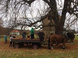 Spielen in der Natur
